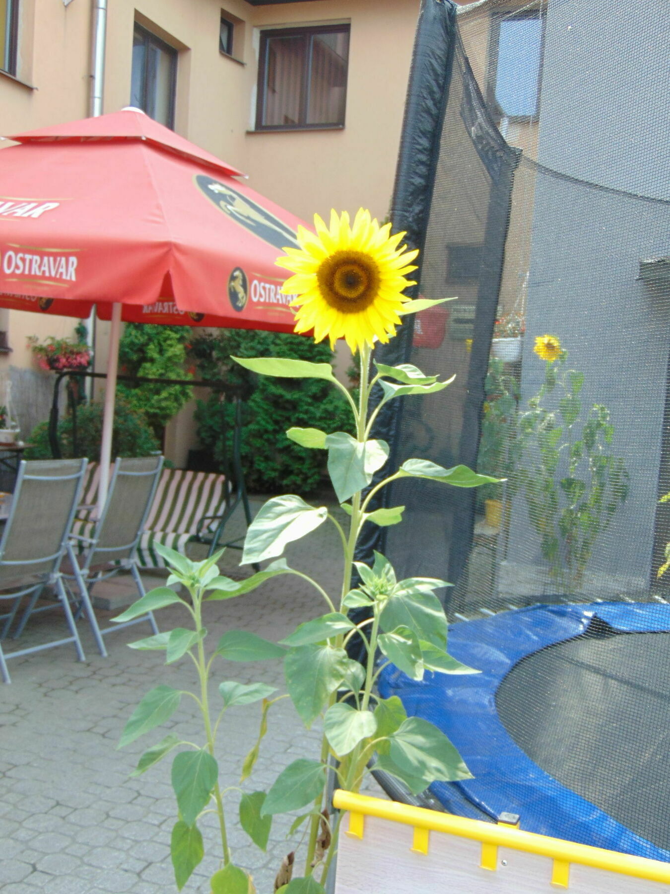 Hotel Isora Ostrava Bagian luar foto